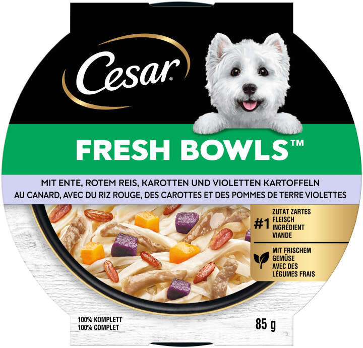 Cesar Hunde-Nassfutter FRESH BOWLS Schale Ente in Sauce